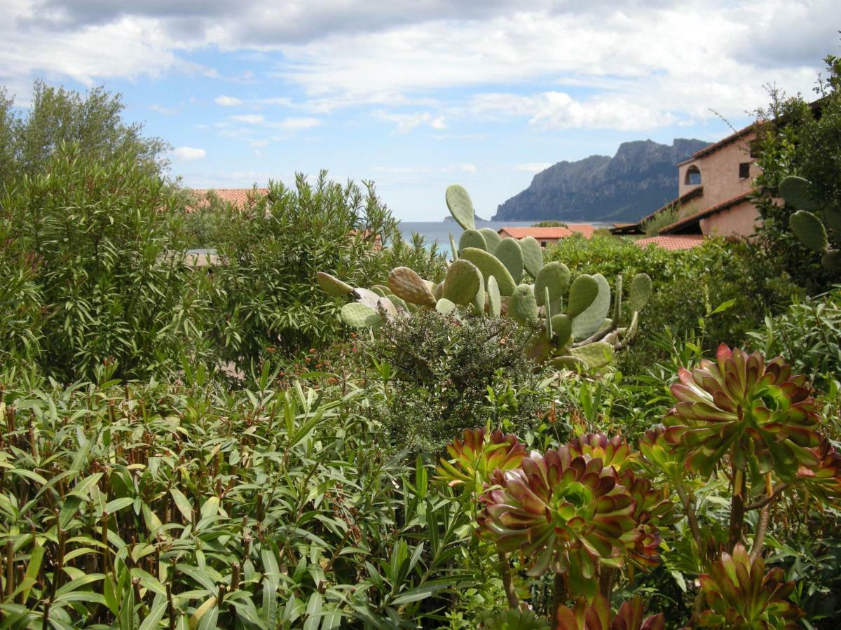 Casa Costa Corallina Mare Olbia Extérieur photo